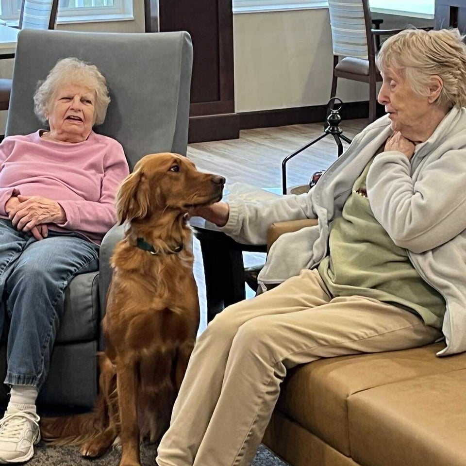 Rushseba Maverick 13