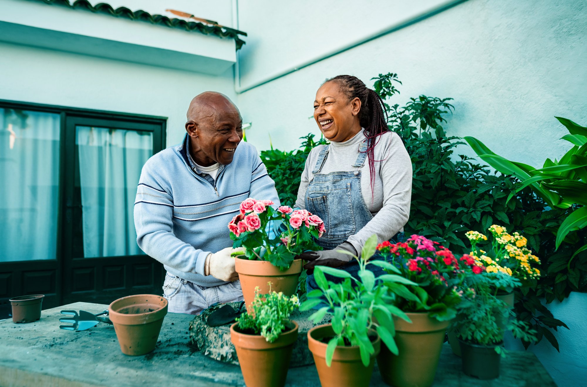 Photo of a happy man and woman gardening flowers outdoors