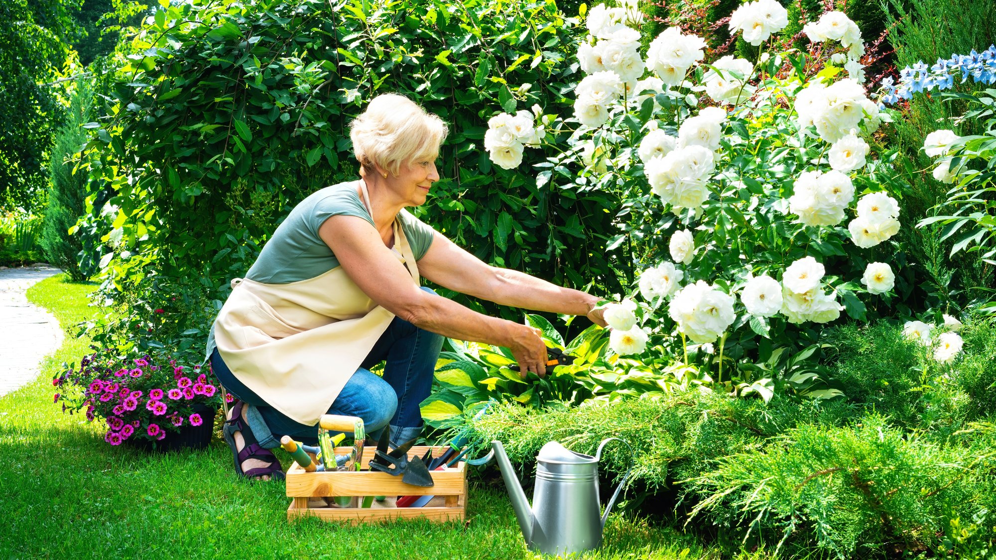 Photo of an older woman gardening outdoors